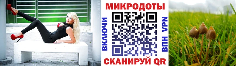 Купить закладки  Полярные Зори  Псилоцибиновые грибы Magic Shrooms 